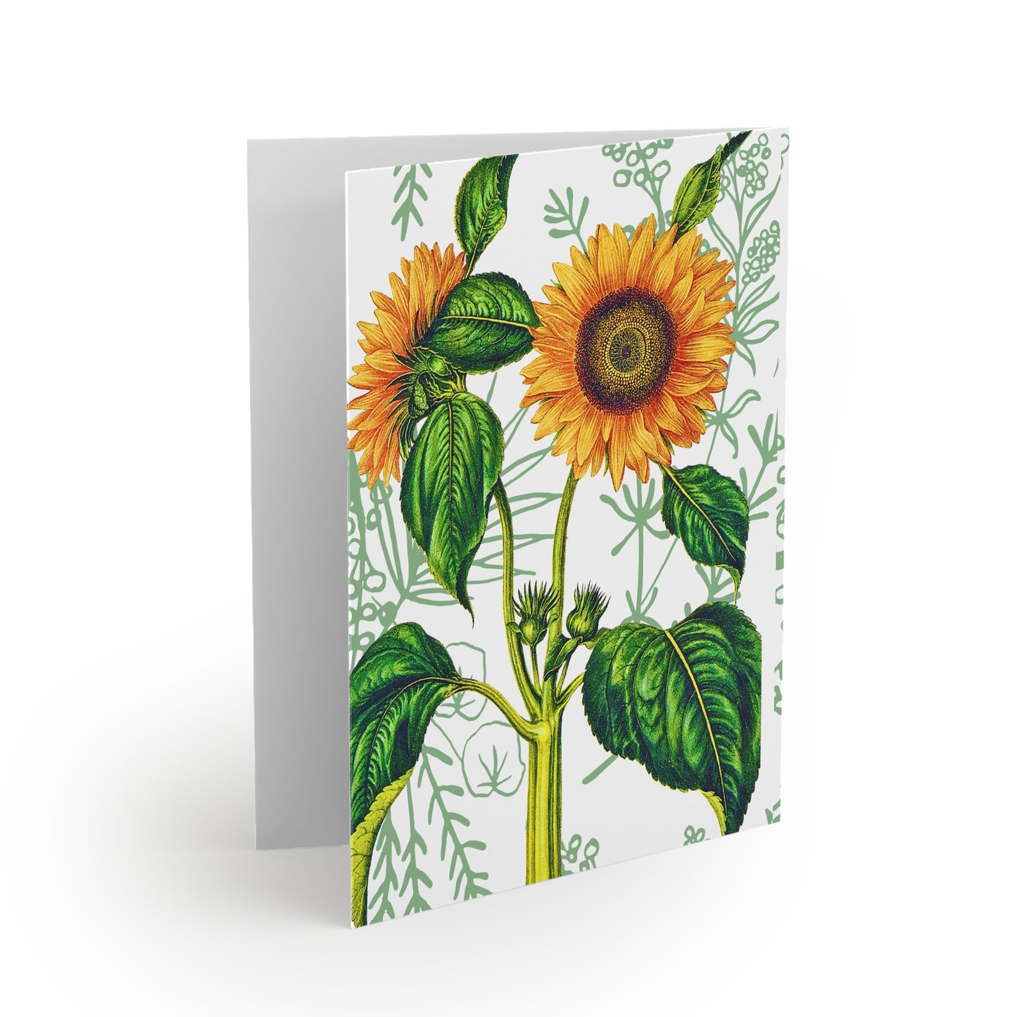 Summer Sunflower Botanical Note Cards (8 pcs)