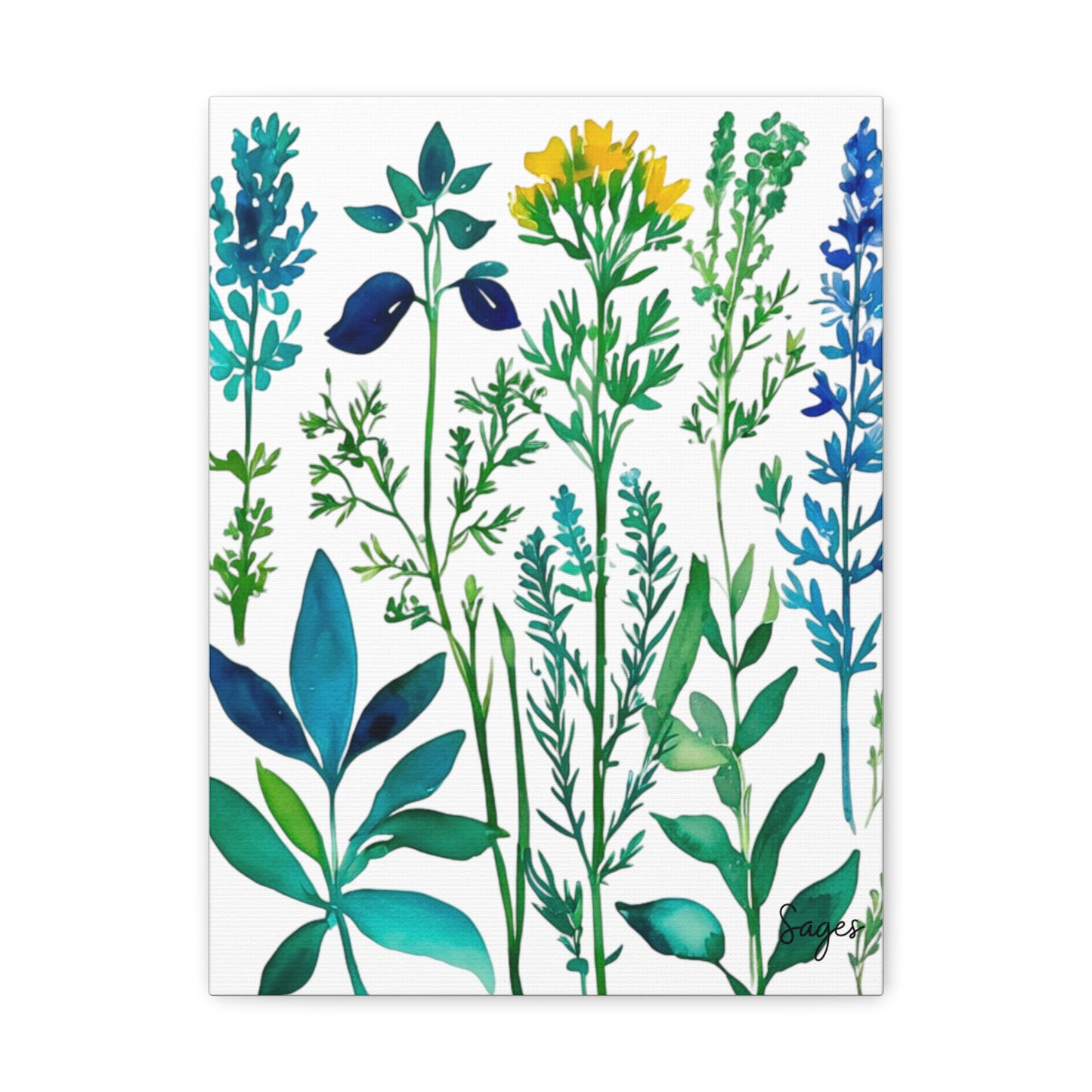 Spring Herbs Art Canvas Gallery Wraps