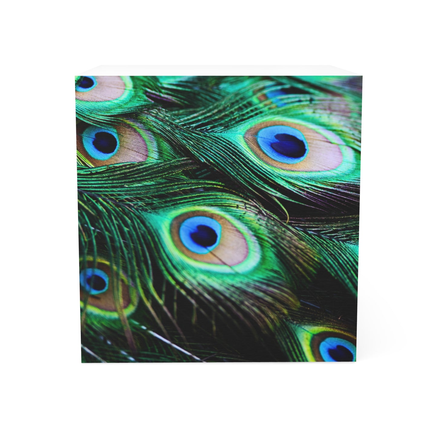 Peacock Plume Feather Multi Decorative Paper Note Cube