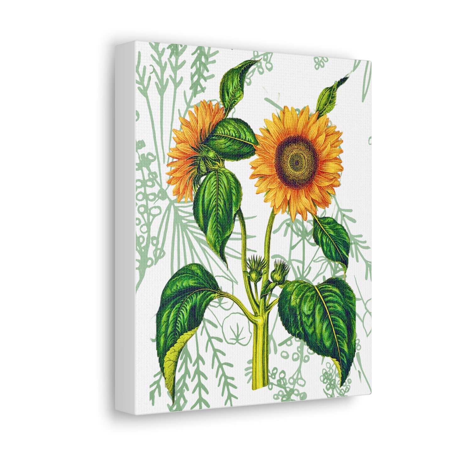 Summer Sunflower Botanical Art Canvas Gallery Wraps