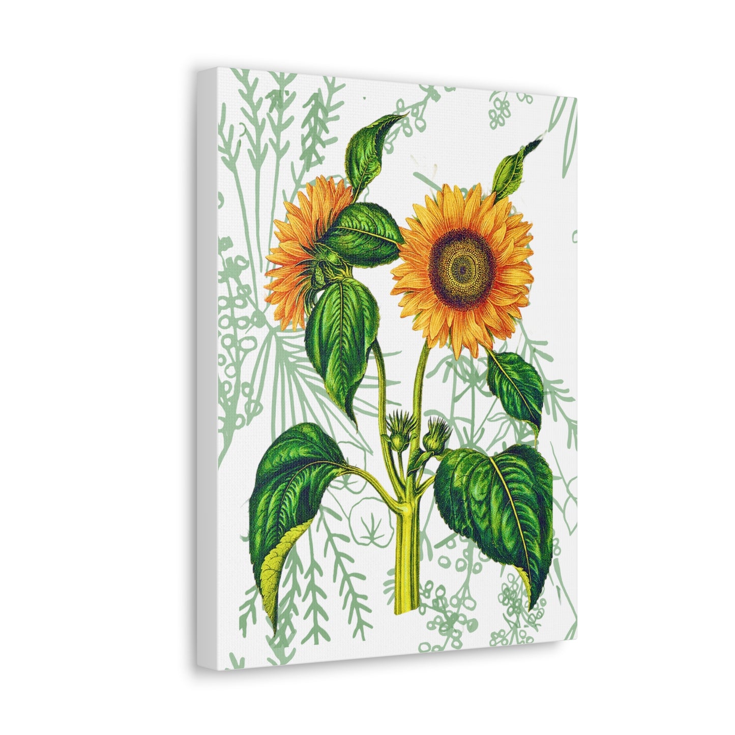 Summer Sunflower Botanical Art Canvas Gallery Wraps