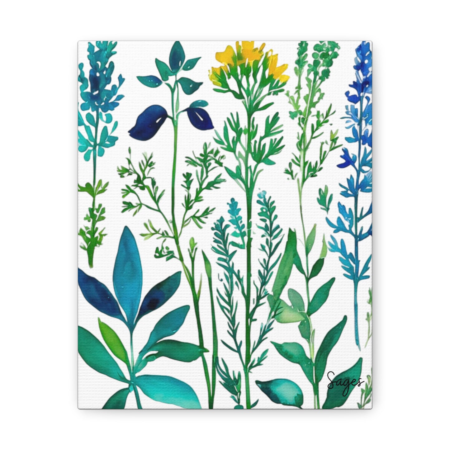 Spring Herbs Art Canvas Gallery Wraps