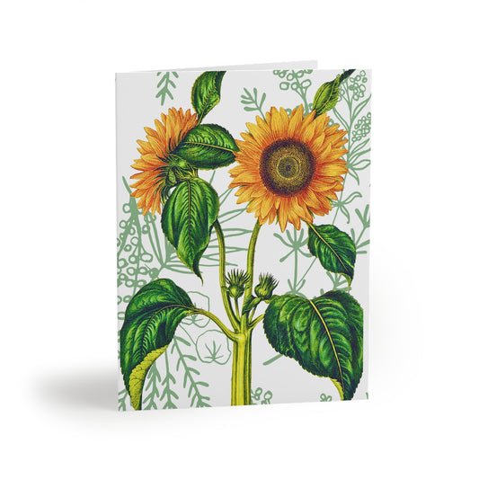 Summer Sunflower Botanical Note Greeting Cards (8 pcs) (Limited Edition July 2024)